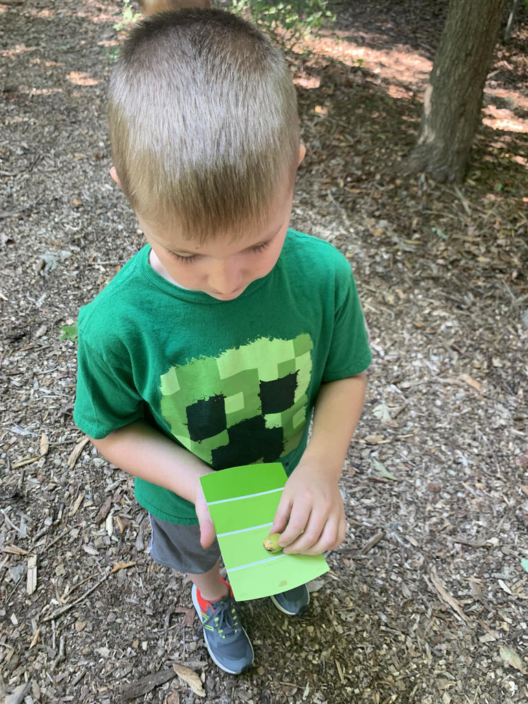 Little boy matching a green card to an acorn