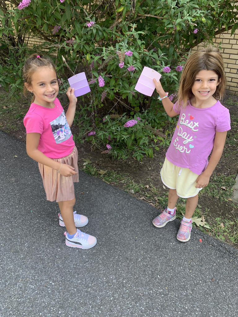 Two little girls matching a purple card to flowers