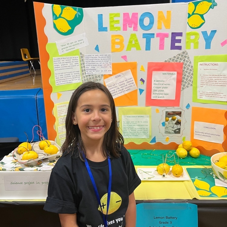 lemon battery