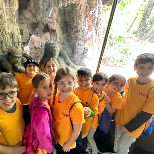 zoo